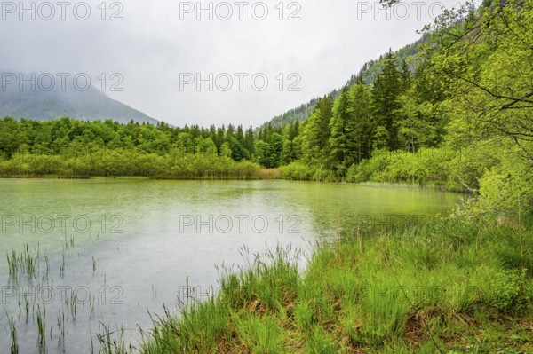 Landscape of Lake Offensee on a rainy day in spring, Salzkammergut, Austria