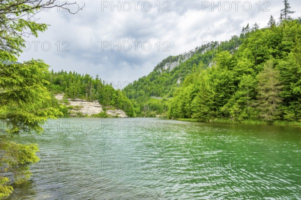 Landscape of Lake Elisabethsee on a rainy day in spring, Austria