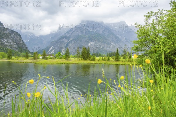 Landscape of Lake Almsee on a rainy day in spring, Salzkammergut, Austria