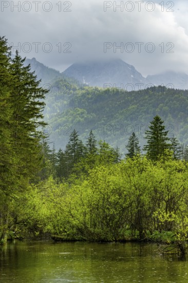Landscape of Lake Almsee on a rainy day in spring, Salzkammergut, Austria