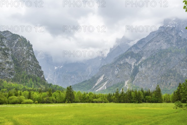 Spring meadow with the Alps in the background on a rainy day, Traunkirchen, Salzkammergut, Austria