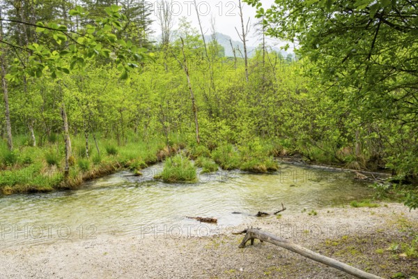 Landscape of Lake Almsee on a rainy day in spring, Salzkammergut, Austria