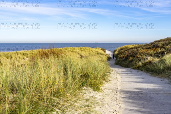 East beach of the East Frisian island of Spiekeroog, beach access through the dunes of Lower Saxony, Germany