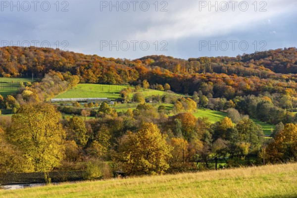 Autumn landscape in Elfringhauser Switzerland, south of Velbert-Langenberg, Germany