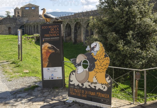 Eco Museum of Pyrenees fauna, Ainsa, Aínsa-Sobrarbe, Huesca province, Aragon, Spain