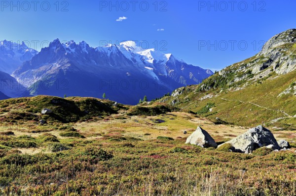 Autumnal landscape with snow-covered Mont Blanc massif in the background, Chamonix-Mont-Blanc, Haute-Savoie, France