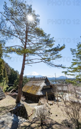 Iyashinosato open-air museum, old Japanese village with traditional houses, at the back volcano Mt. Fuji, Fujikawaguchiko, Saiko, Japón
