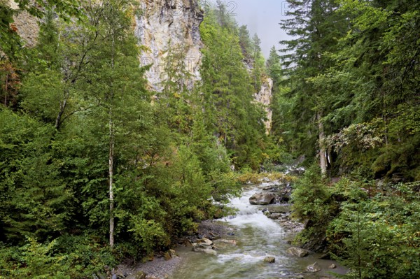 Diosaz mountain river in the gorge, Gorges de la Diosaz, Les Houches, Chamonix-Mont-Blanc, Haute-Savoie, France