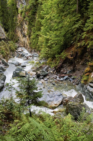 Diosaz mountain river in the gorge, Gorges de la Diosaz, Les Houches, Chamonix-Mont-Blanc, Haute-Savoie, France