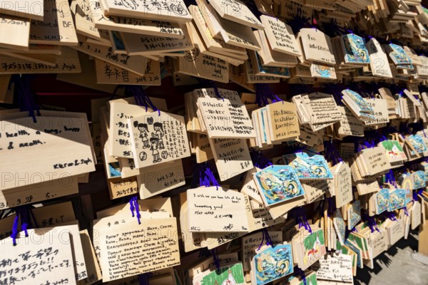 Ema, small wooden tablets with wishes and prayers, hung so that the Kami spirits or gods can receive them, Hakone Shrine, Hakone, Japan
