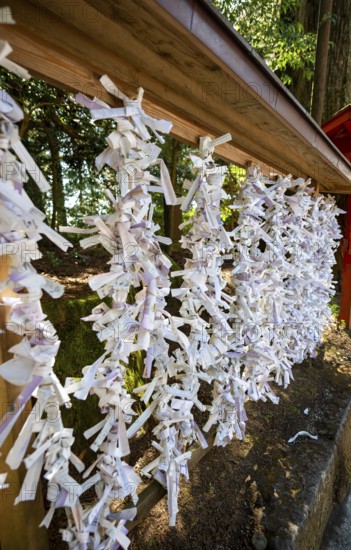 Omikuji papers hung on a wire, Shinto Shrine, Hakone Shrine, Hakone, Japan