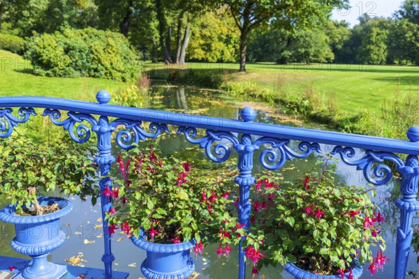 Fuchsia Bridge or Blue Bridge in Muskauer Park, UNESCO World Heritage Site, Bad Muskau, Upper Lusatia, Saxony, Germany