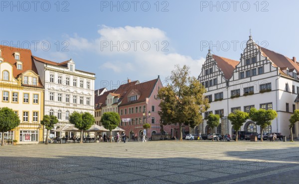 Market square with residence and historic buildings, Naumburg (Saale), Saxony-Anhalt, Germany
