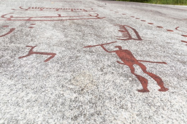 Historic rock carvings of Tanum, here at the Vitlycke site, figurative depiction from the Bronze Age, UNESCO World Heritage Site, Tanum, Västra Götalands län, Sweden