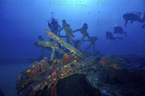 Divers explore a paddle wheel covered with sea sponges in the Mediterranean near Hyères, Wreck Ville de Grasse dive site, Giens Peninsula, Porquerolles, Provence, Côte d'Azur, Mediterranean, France