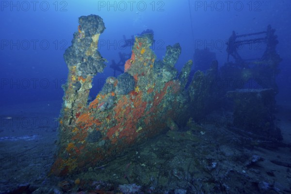 Shipwreck covered with sea sponges is dilapidated on the seabed in the blue ocean in the Mediterranean near Hyères, dive site Wreck Ville de Grasse, Giens Peninsula, Porquerolles, Provence, Côte d'Azur, Mediterranean, France