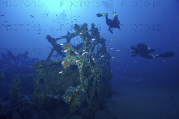 Divers and fish, Mediterranean sea bass (Anthias anthias), circle a wreck overgrown by sea sponges in clear blue water in the Mediterranean near Hyères, dive site Wreck Ville de Grasse, Giens Peninsula, Porquerolles, Provence, Côte d'Azur, Mediterranean, France