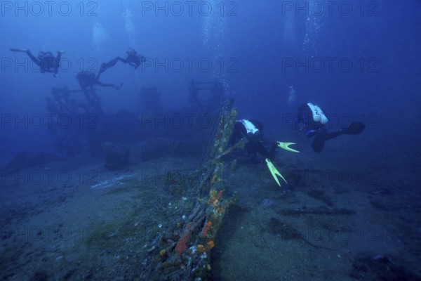 Divers explore a wreck covered with sea sponges on the ocean floor in deep blue water in the Mediterranean near Hyères, Wreck Ville de Grasse dive site, Giens Peninsula, Porquerolles, Provence, Côte d'Azur, Mediterranean, France