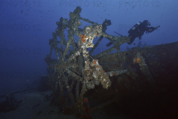 Diver near a shipwreck covered by sea sponges, in dark blue water in the Mediterranean near Hyères, dive site Wreck Ville de Grasse, Giens Peninsula, Porquerolles, Provence, Côte d'Azur, Mediterranean, France