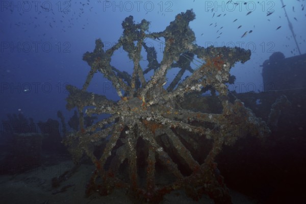 A large paddle wheel covered by sea sponges in a dark underwater setting in the Mediterranean near Hyères, Wreck Ville de Grasse dive site, Giens Peninsula, Porquerolles, Provence, Côte d'Azur, Mediterranean, France