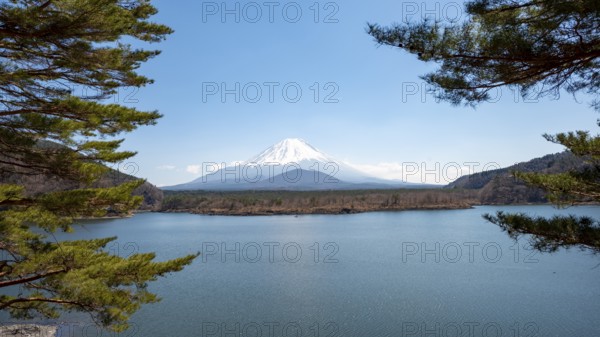 View across the lake to Mt Fuji volcano, Motosu Lake, Yamanashi Prefecture, Japan