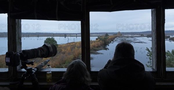 Bird watchers in the observation tower, Tister Bauernmoor, Tiste, Samtgemeinde Sittensen, Lower Saxony, Germany
