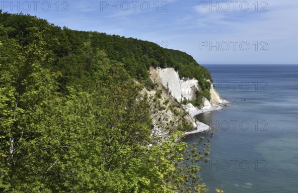 Chalk cliffs, chalk coast on the island of Rügen, Jasmund National Park, Mecklenburg-Western Pomerania, Germany