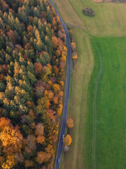 Aerial view of a road leading through colorful autumn forests and green fields. Pure nature, Lehenweiler, Aidlingen, Böblingen District, Germany