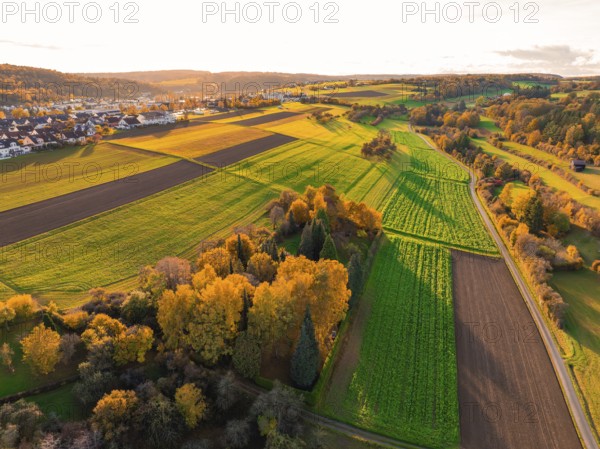 Idyllic landscape with green and golden fields in the warm light of autumn sun, Aidlingen, Böblingen district, Germany