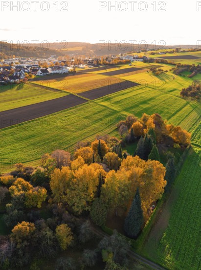 Green and golden fields in autumn, trees, in rural surroundings, Aidlingen, Böblingen district, Germany
