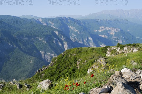 View of majestic mountains and green valleys with colorful wildflowers in the foreground, view of the Vorotan River valley, Vorotan, Halidzor, Syunik province, Caucasus, Armenia