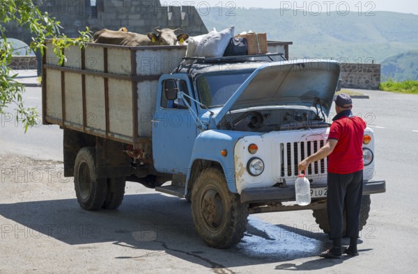 Man repairs a blue truck on a scenic road, GAZ-53 loaded with cows, Goris, Syunik province, Syunik, Caucasus, Armenia