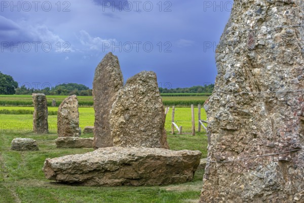 Menhirs, standing stones of conglomerate at Champ de la Longue Pierre in Wéris, Durbuy, province of Luxembourg, Belgian Ardennes, Wallonia, Belgium