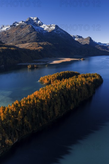 Mountain landscape, mountain lake, larch forest, autumn, autumn color, morning light, sunny, aerial view, Lake Sils, Engadin, Switzerland