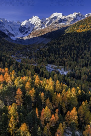 Mountain landscape, larch forest, autumn, autumn discoloration, morning light, aerial view, glacier, Morteratsch valley, Morteratsch glacier, Engadin, Switzerland
