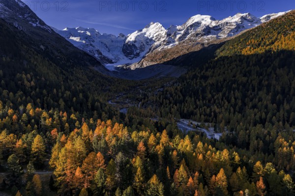 Mountain landscape, larch forest, autumn, autumn discoloration, morning light, aerial view, glacier, Morteratsch valley, Morteratsch glacier, Engadin, Switzerland