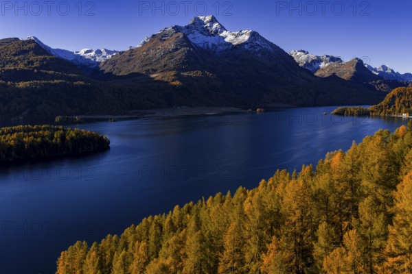 Mountain landscape, mountain lake, larch forest, autumn, autumn color, morning light, sunny, aerial view, Lake Sils, Engadin, Switzerland