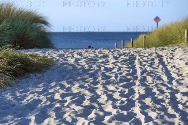 Sandweg zum Ostseestrand, Ahrenshoop, Darß, Mecklenburg-Western Pomerania, Germany