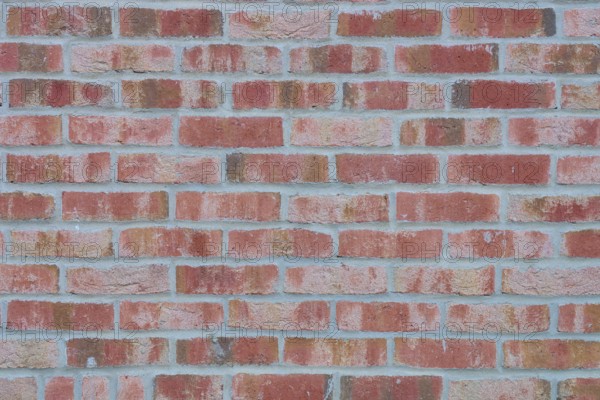 A uniformly masonry red brick wall with visible texture and structure