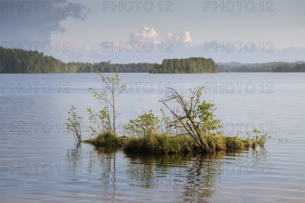 Lake surrounded by forest, near Sunne, Sweden