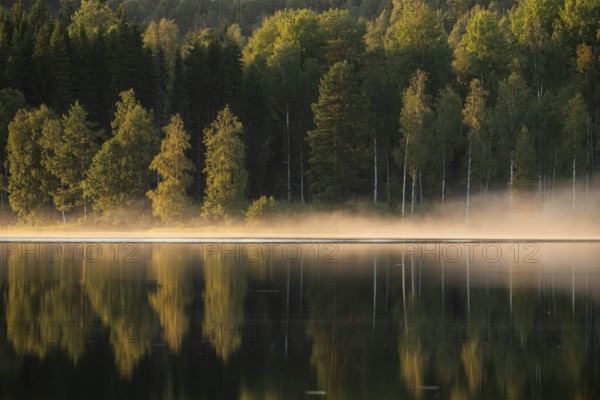Rising fog in the evening light, lake in the forest, near Sunne, Sweden