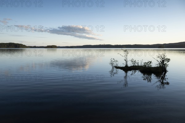 Lake in the evening, surrounded by forest, near Sunne, Sweden