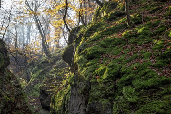 Beauty in nature. Krasnodar krai. Russia