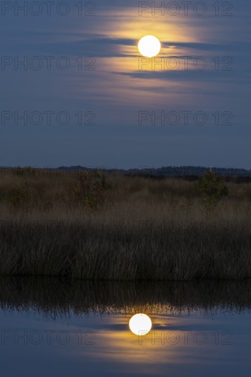 Full moon, super moon over the moor, Emsland, Lower Saxony, Germany