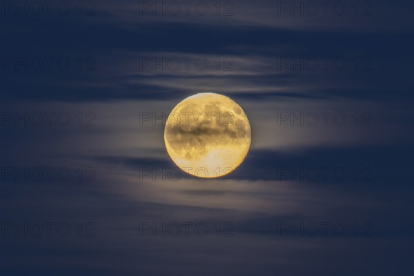 Full moon, super moon over the moor, Emsland, Lower Saxony, Germany