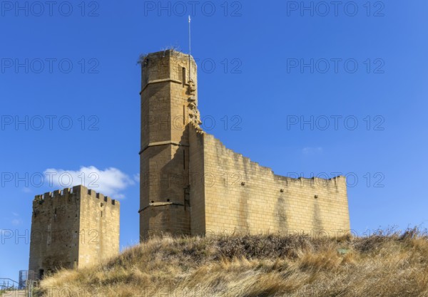 Castle and palace ruin in medieval village of Uncastillo, Cinco Villas, Zaragoza province, Aragon, Spain