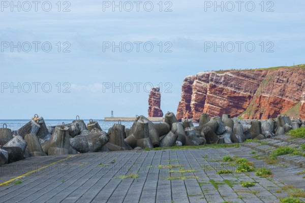 Sunny coastline with concrete tetrapods by the sea, coastal protection, protective wall, paved coastal strip with yellow line, danger, marking, warning, red cliffs and Lange Anna in the background, coastal path on the cliff, many people on the cliffs, rock layers in red sandstone, surf pillar, escape line, perspective, cloudy sky, blue sea on the horizon, western cliffs Poppe, high-seas island of Heligoland, North Sea, Pinneberg District, Schleswig-Holstein, Germany