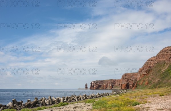 Wide, sunny coastline with concrete tetrapods by the sea, coastal protection, protective wall, coastal strips with sea fennel (Crithmum maritimum), neophyte, sweet clover (Melilotus officinalis), other coastal plants, red cliffs and Lange Anna in the background, rock layers in red sandstone, surf pillars, wide angle, blue sky with white clouds, blue sea on the horizon, West Cliff, high-seas island of Heligoland, North Sea, Pinneberg District, Schleswig-Holstein, Germany