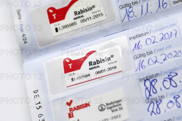 Germany - August 2nd 2025: Rabies vaccination proof with Rabisin sticker in European dog passport for pet travel within the EU