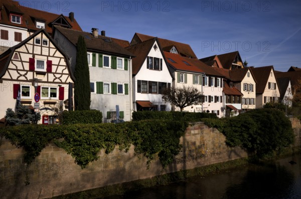 City wall, old town, river Metter, Bietigheim-Bissingen, Baden-Württemberg, Germany
